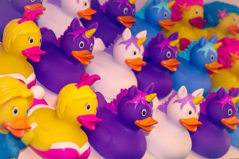 duck 4044472 1920 768x512