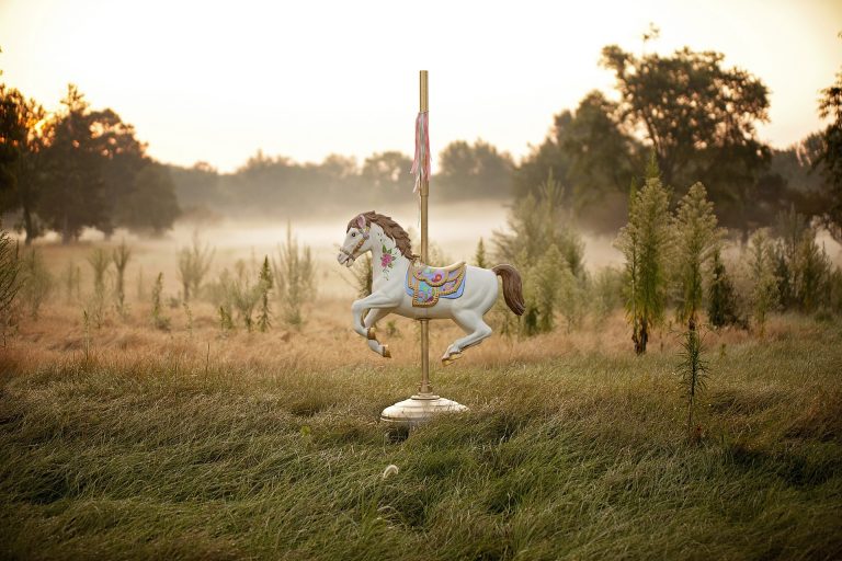 horse 1489825 1920 2 768x512