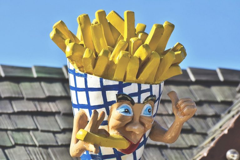 french fries 4525468 1280 768x512