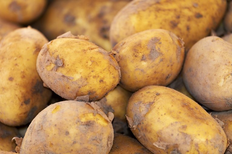 potato 3440360 1920 768x512